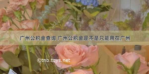 广州公积金查询 广州公积金是不是只能用在广州