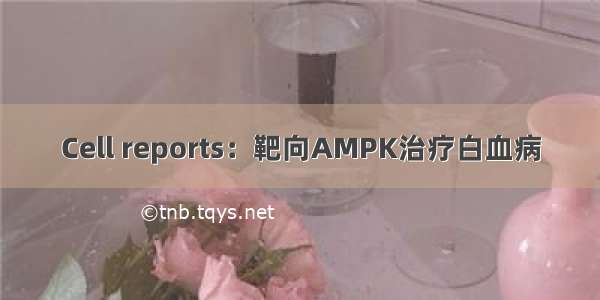 Cell reports：靶向AMPK治疗白血病