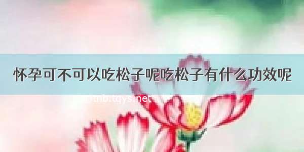 怀孕可不可以吃松子呢吃松子有什么功效呢