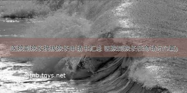 医院副院长提拔院长申请书汇总 医院副院长任命请示(9篇)