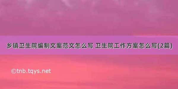 乡镇卫生院编制文案范文怎么写 卫生院工作方案怎么写(2篇)