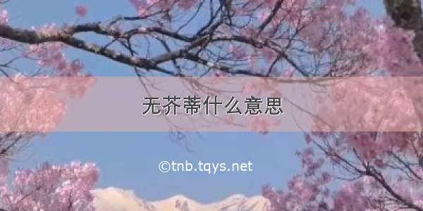 无芥蒂什么意思