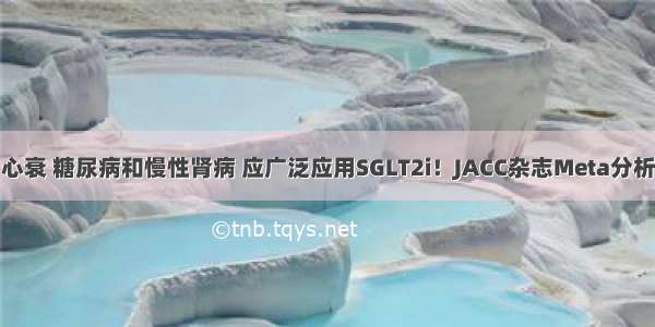 心衰 糖尿病和慢性肾病 应广泛应用SGLT2i！JACC杂志Meta分析