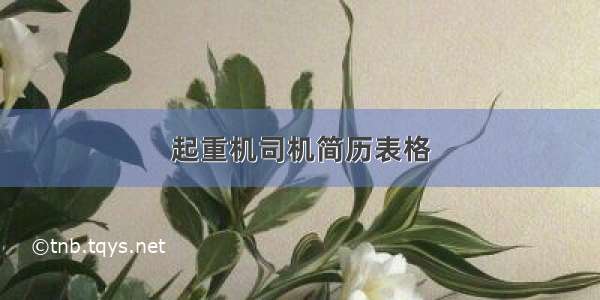 起重机司机简历表格