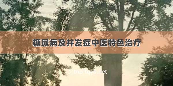 糖尿病及并发症中医特色治疗