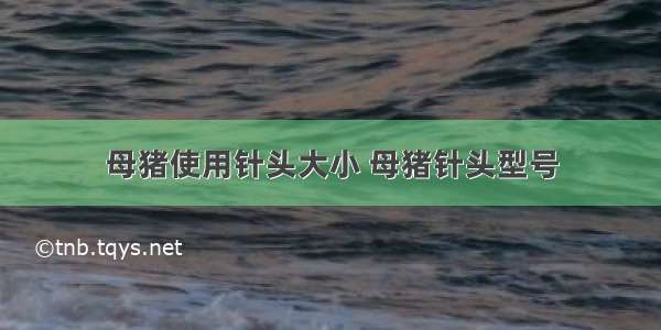 母猪使用针头大小 母猪针头型号