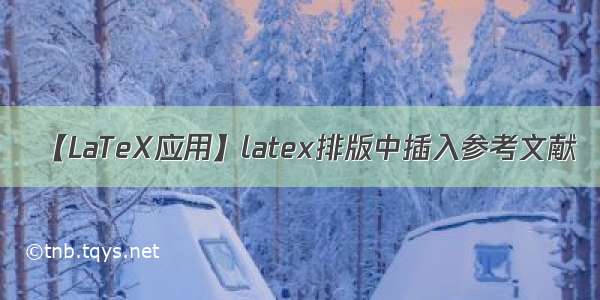 【LaTeX应用】latex排版中插入参考文献