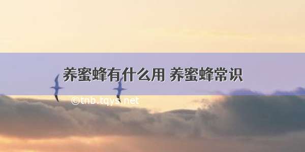 养蜜蜂有什么用 养蜜蜂常识