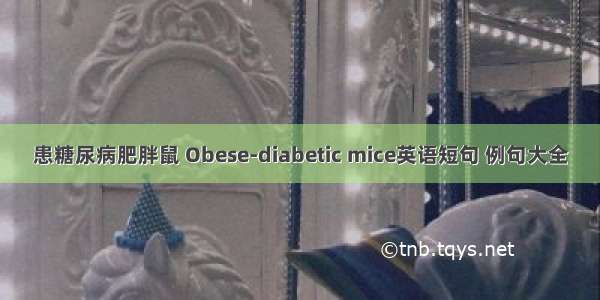 患糖尿病肥胖鼠 Obese-diabetic mice英语短句 例句大全