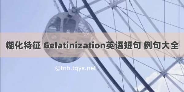 糊化特征 Gelatinization英语短句 例句大全