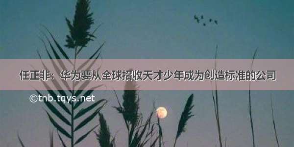 任正非：华为要从全球招收天才少年成为创造标准的公司