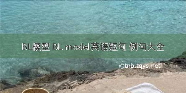 BL模型 BL model英语短句 例句大全
