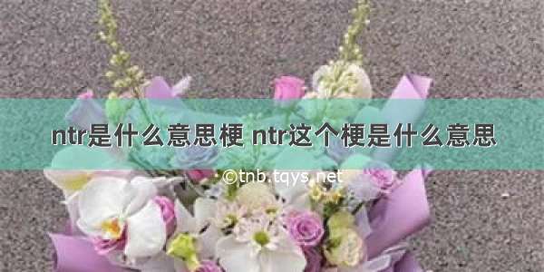 ntr是什么意思梗 ntr这个梗是什么意思