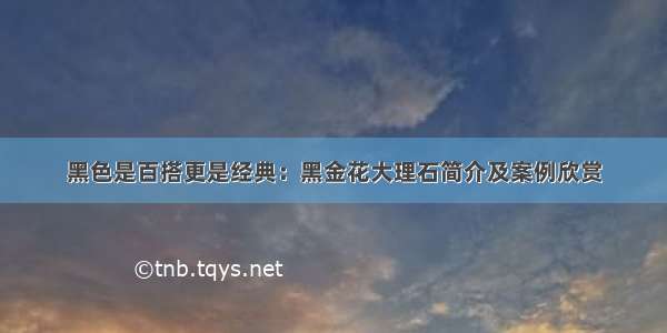 黑色是百搭更是经典：黑金花大理石简介及案例欣赏