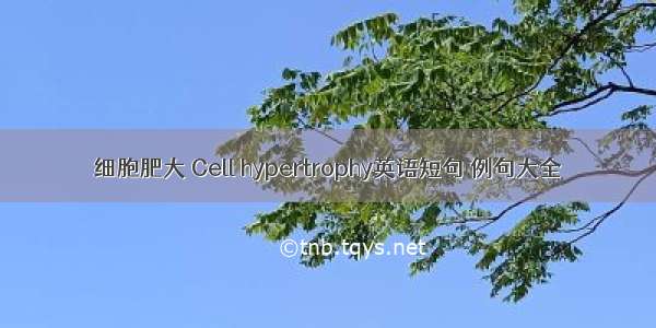 细胞肥大 Cell hypertrophy英语短句 例句大全