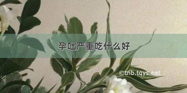 孕吐严重吃什么好