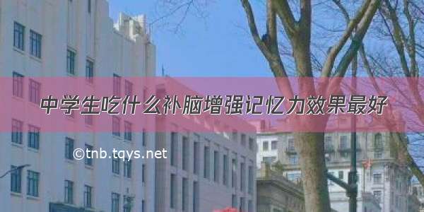 中学生吃什么补脑增强记忆力效果最好