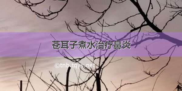 苍耳子煮水治疗鼻炎