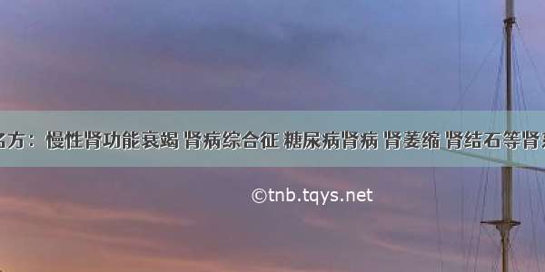 名医名方：慢性肾功能衰竭 肾病综合征 糖尿病肾病 肾萎缩 肾结石等肾系疾病