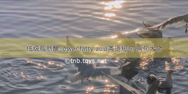 低级脂肪酸 lower fatty acid英语短句 例句大全