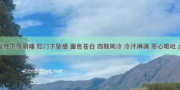 患者突发性下腹剧痛 肛门下坠感 面色苍白 四肢厥冷 冷汗淋漓 恶心呕吐 血压下降