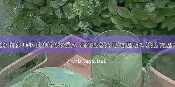 组成淀粉 抗体 DNA的单体依次是A. 葡萄糖 核苷酸 氨基酸B. 核糖 氮基酸 核苷