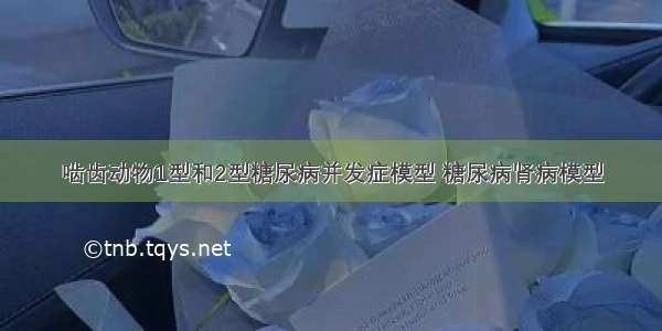 啮齿动物1型和2型糖尿病并发症模型 糖尿病肾病模型