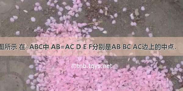 已知：如图所示 在△ABC中 AB=AC D E F分别是AB BC AC边上的中点．（1）求证：