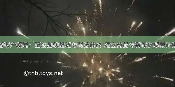 国家知识产权局：正在加快推进专利法修改 建立药品专利保护期限补偿制度