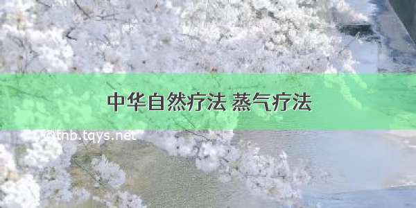 中华自然疗法 蒸气疗法