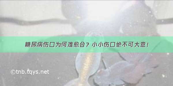 糖尿病伤口为何难愈合？小小伤口绝不可大意！