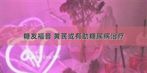 糖友福音 黄芪或有助糖尿病治疗