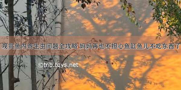 观赏鱼内寄生虫问题全攻略 妈妈再也不担心鱼缸鱼儿不吃东西了