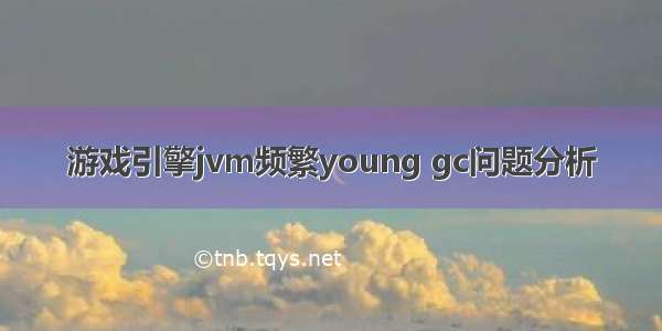 游戏引擎jvm频繁young gc问题分析