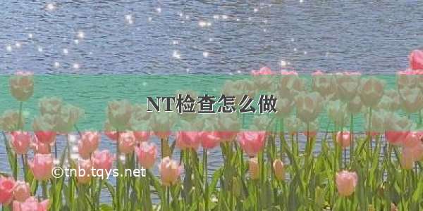 NT检查怎么做