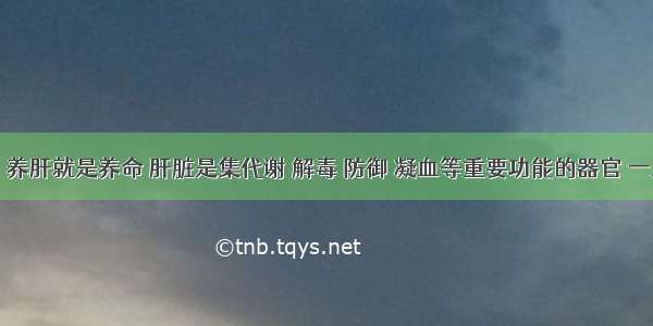 常言道：养肝就是养命 肝脏是集代谢 解毒 防御 凝血等重要功能的器官 一旦肝不好