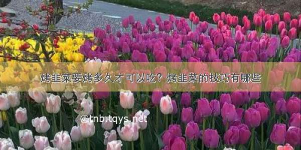 烤韭菜要烤多久才可以吃？烤韭菜的技巧有哪些