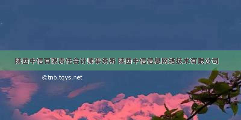 陕西中信有限责任会计师事务所 陕西中信信息网络技术有限公司