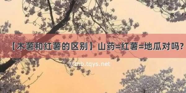 【木薯和红薯的区别】山药=红薯=地瓜对吗?