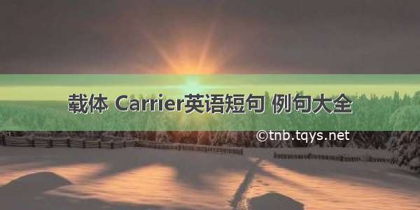 载体 Carrier英语短句 例句大全