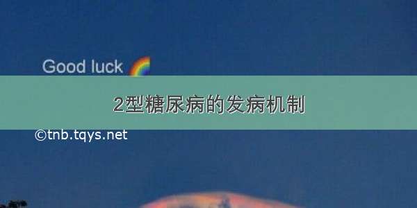 2型糖尿病的发病机制