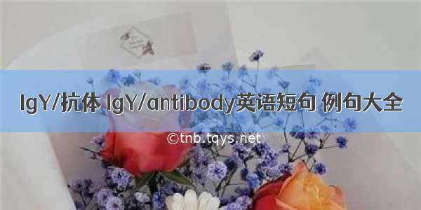 IgY/抗体 IgY/antibody英语短句 例句大全