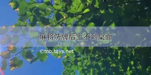 麻将洗牌后上不到桌面