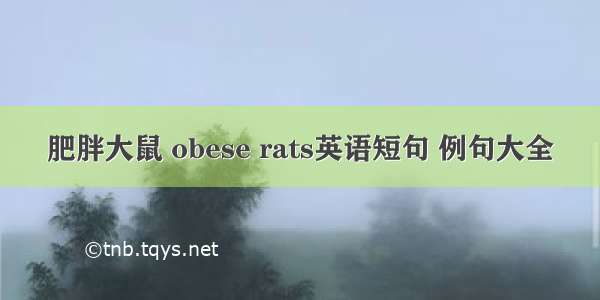肥胖大鼠 obese rats英语短句 例句大全