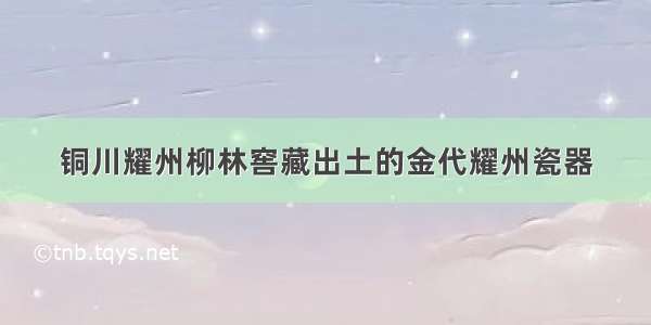 铜川耀州柳林窖藏出土的金代耀州瓷器