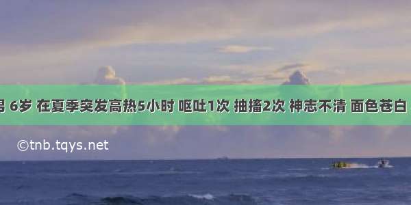 患者 男 6岁 在夏季突发高热5小时 呕吐1次 抽搐2次 神志不清 面色苍白 心率加