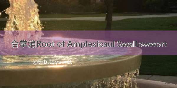 合掌消Root of Amplexicaul Swallowwort