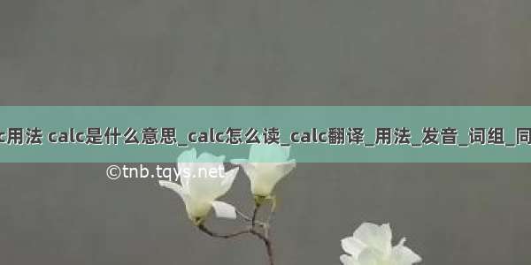 c语言中calc用法 calc是什么意思_calc怎么读_calc翻译_用法_发音_词组_同反义词_[计]