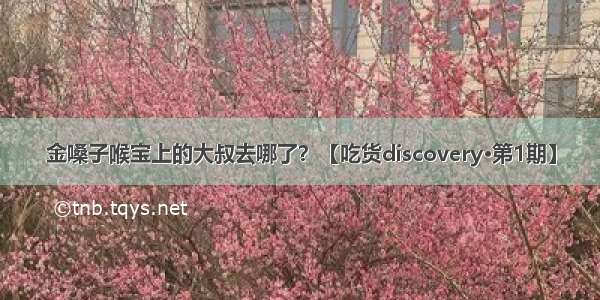 金嗓子喉宝上的大叔去哪了？【吃货discovery·第1期】