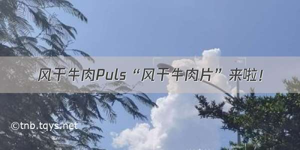 风干牛肉Puls“风干牛肉片”来啦！